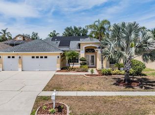 1318 Riverfield Ct, Valrico, FL 33596