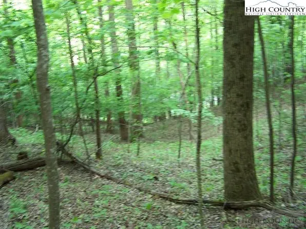 Tbd Powder Horn Mountain Road #N/A, Deep Gap, NC 28618