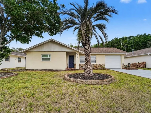8332 Fishhawk Ave, New Port Richey, FL 34653
