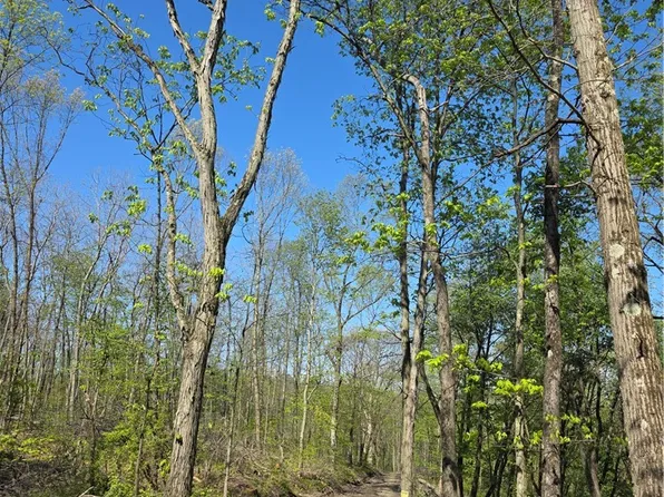 2210 Ramer Rd, Shelocta, PA 15774