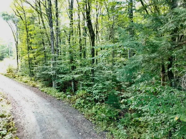 8 Cove Road, Canaan, NH 03741