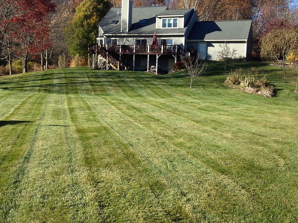 Yard Looking up