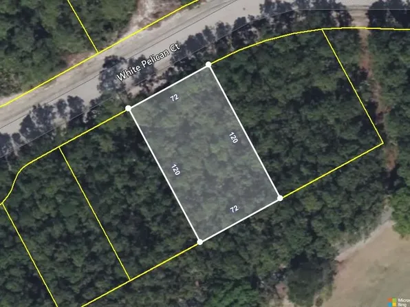 118 White Pelican Way, Carrabelle, FL 32322