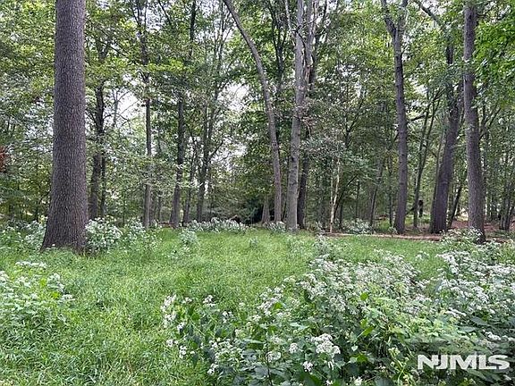 3rd image of 440 Cedar Lane