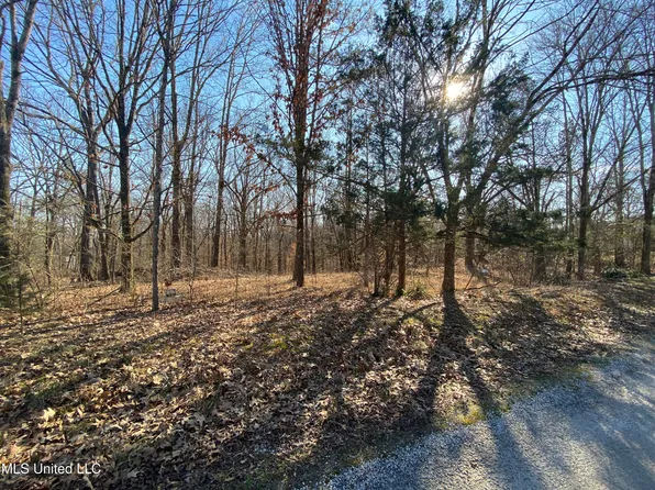 Coke Rd, Byhalia, MS 38611