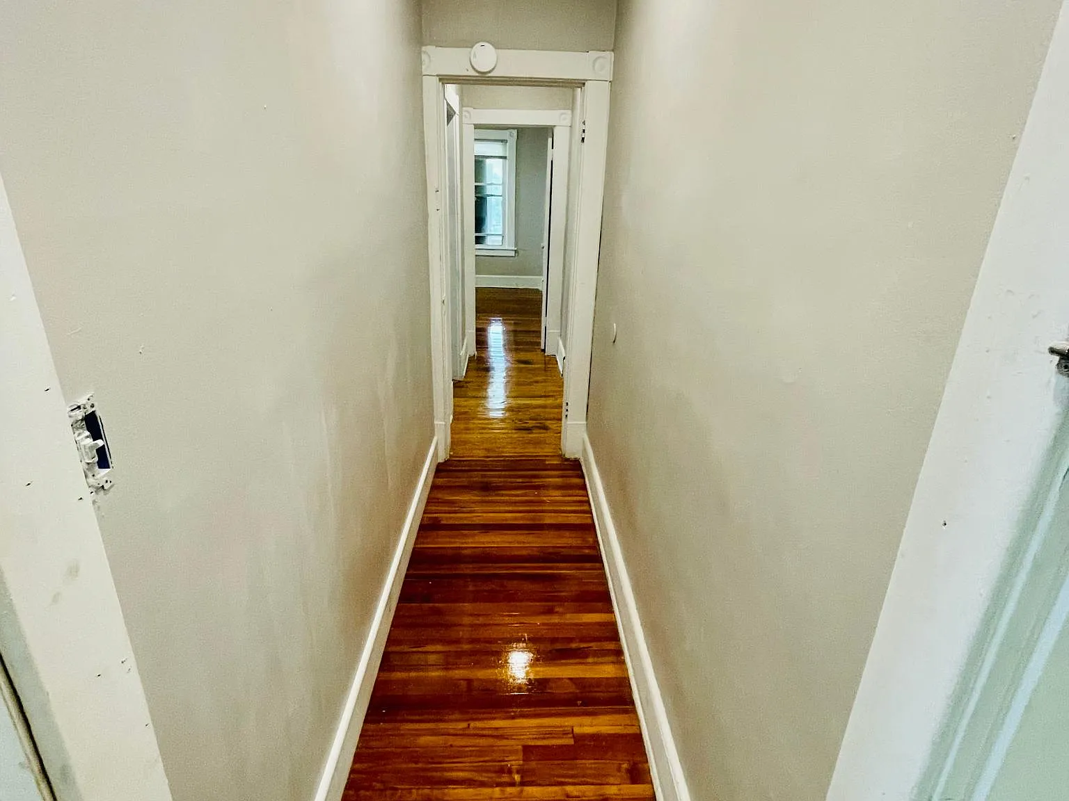 274 White St — Photo 3