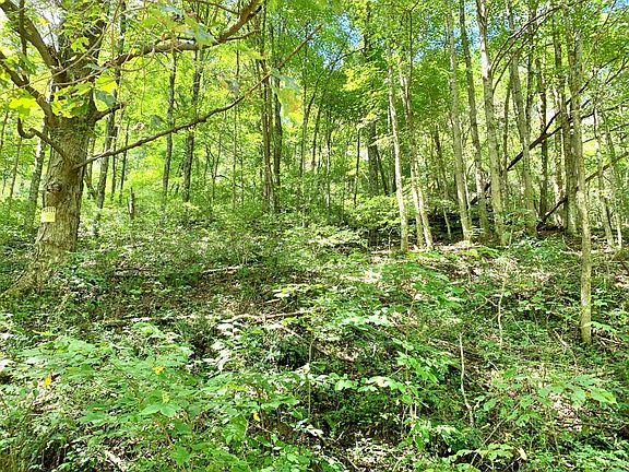 4th image of 0 Branch Of Little Elk Creek Rd