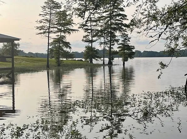 355 Simone Ln, Many, LA 71449