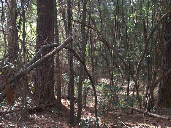 4th image of 0 N University Blvd