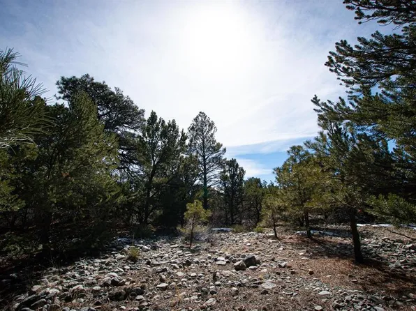 501 Mill Run Road, Mosca, CO 81146