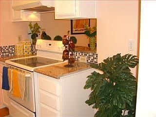 2nd image of 3122 Shadow Springs Pl