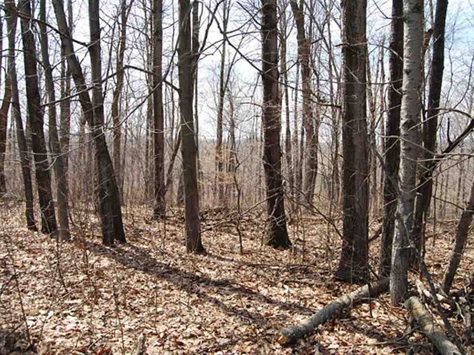 2nd image of LOT 10 Loon Ct