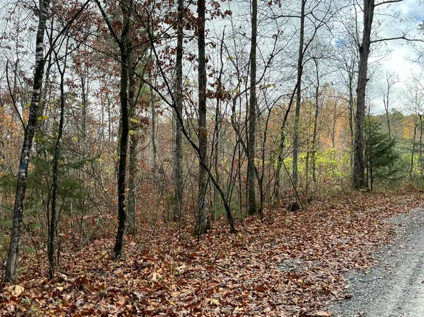 378TRC Rocky Top Rd, Newport, TN 37821