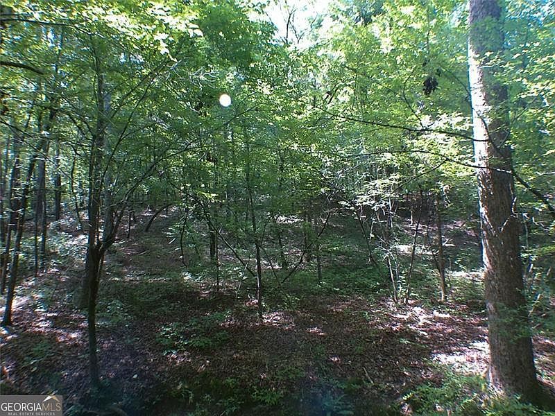 2nd image of 0 Briarpatch Dr