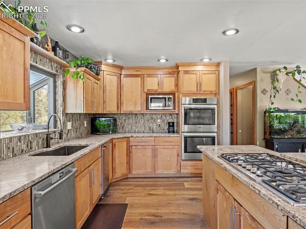1738 Wildhorn Rd, Florissant, CO 80816