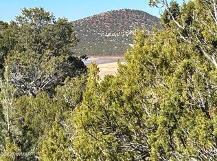 79 Ranch Rd, Concho, AZ 85924