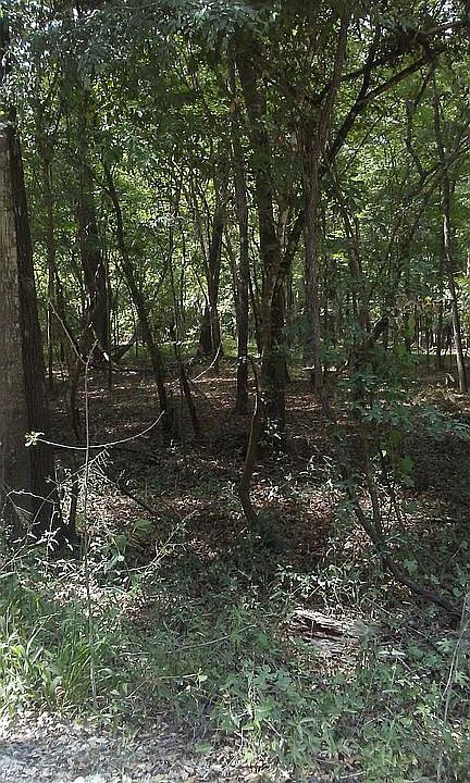1st image of NE 709th Ave