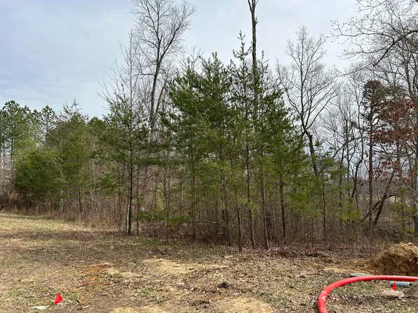 4709 Crockett Pointe #166-A/S, Jasper, TN 37347