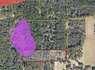 1027 167th Pl, Live Oak, FL 32060