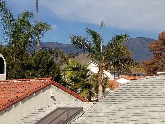 view from dining room