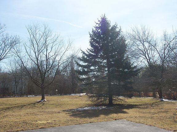 PARK-LIKE YARD BACKS TO TREES FOR PRIVACY!