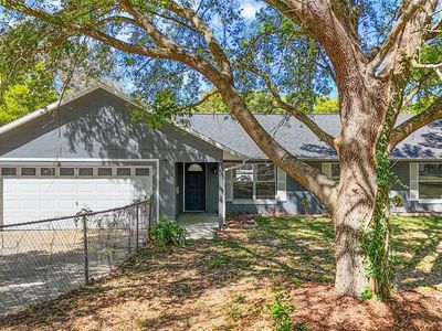 331 W Lewis Ave, Apopka, FL, 32712