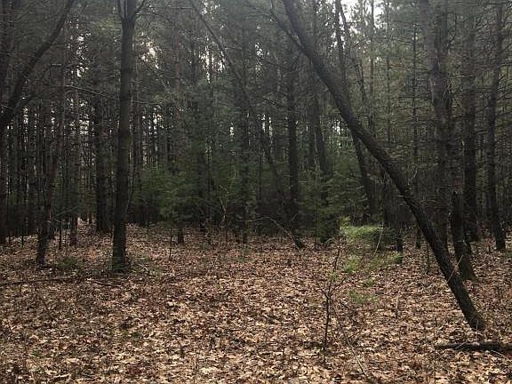 5th image of 8193 Shadybrook Dr SE