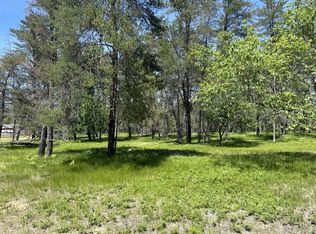 Smoore Rd, Frederic, MI 49733