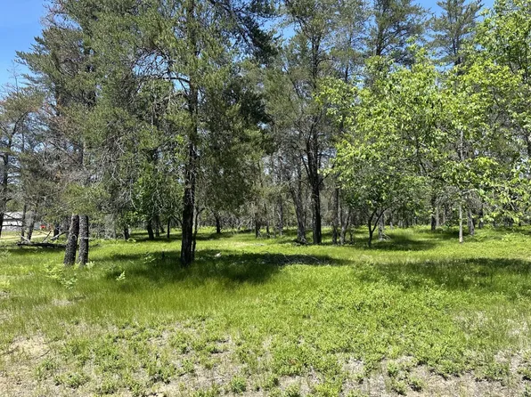 Smoore Rd, Frederic, MI 49733