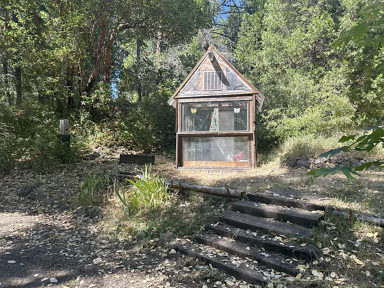 Greenhouse