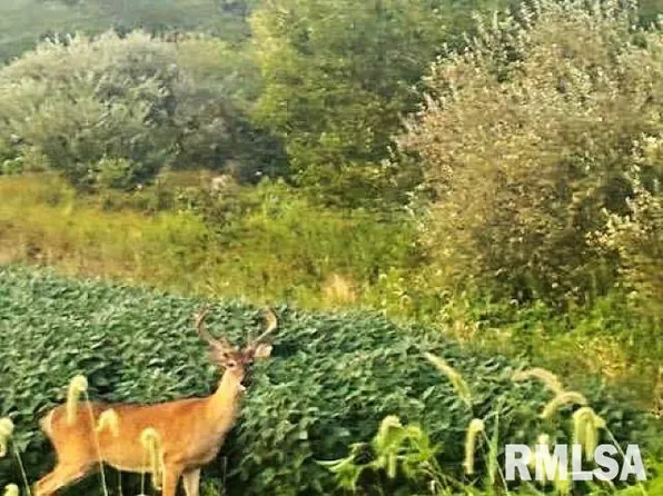 0 Campbells Corner Rd, Mc Leansboro, IL 62859