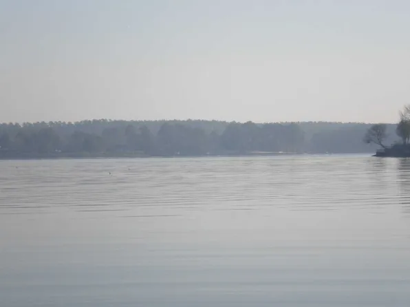 2644 Lake Rd, Ridgeway, SC 29130