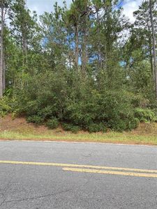 0 SW 155th St #247, Dunnellon, FL, 34432