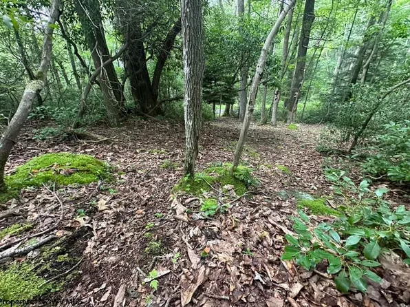 Lots 133 & 134 Dogwood Ln, Terra Alta, WV 26764