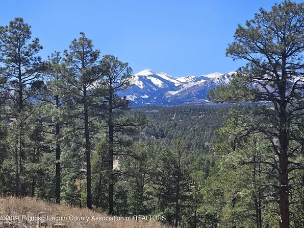 111 Bull Elk Ct #1, Alto, NM 88312