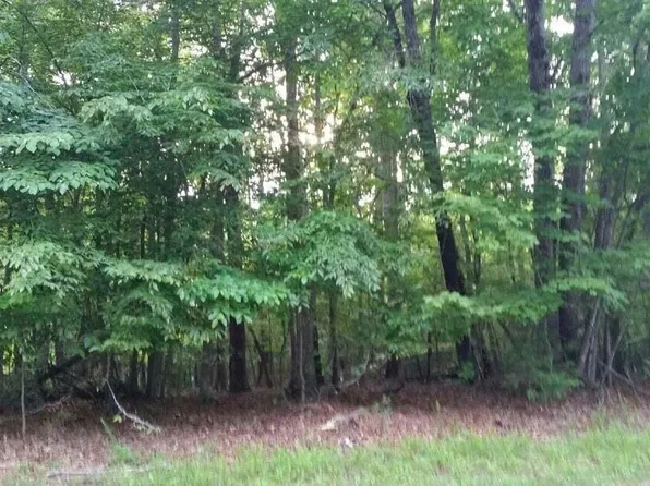 LOT 1 Mallard Point Rd, Wirtz, VA 24184