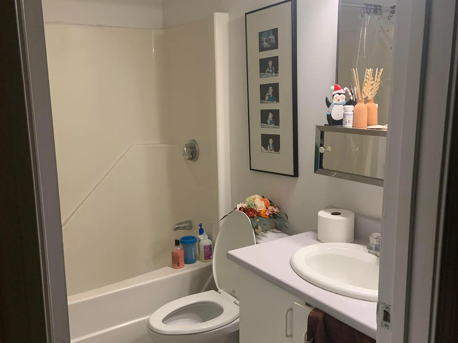 2 bed, 850 sqft, $3,795 — Photo 2