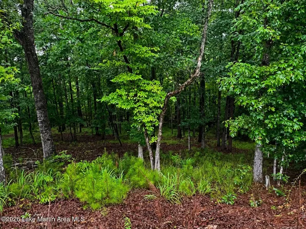 Lots 16 17 Myrtle Dr, Dadeville, AL 36853