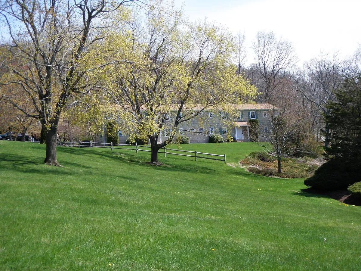 1 bed, 600 sqft, $1,800 — Photo 2