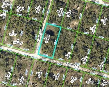 0 Forge Dr, Webster, FL, 33597