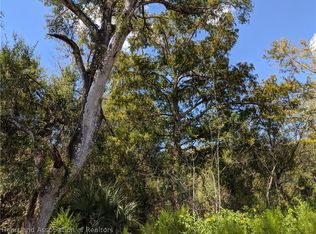 17 S Us Hwy, Zolfo Springs, FL 33890