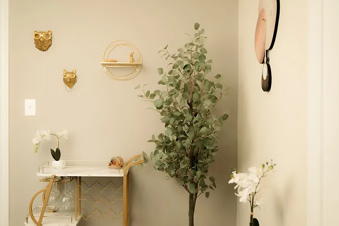 6605 N Sheridan Rd #1 — Photo 7