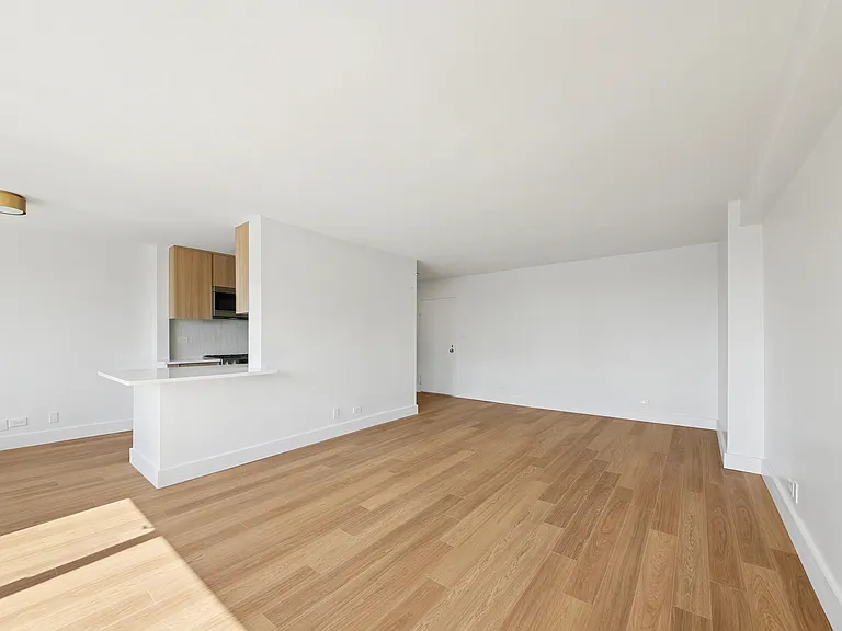 501 E 87th St #18A — Photo 4