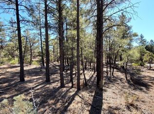181 Cliff Rose Ln, Show Low, AZ 85901