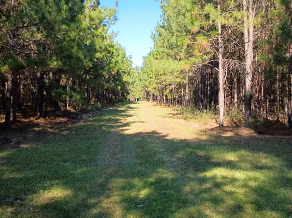 0 Thomas Rd, Millen, GA 30442