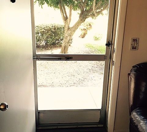 2nd image of 5 Lake Vista Trl APT 105