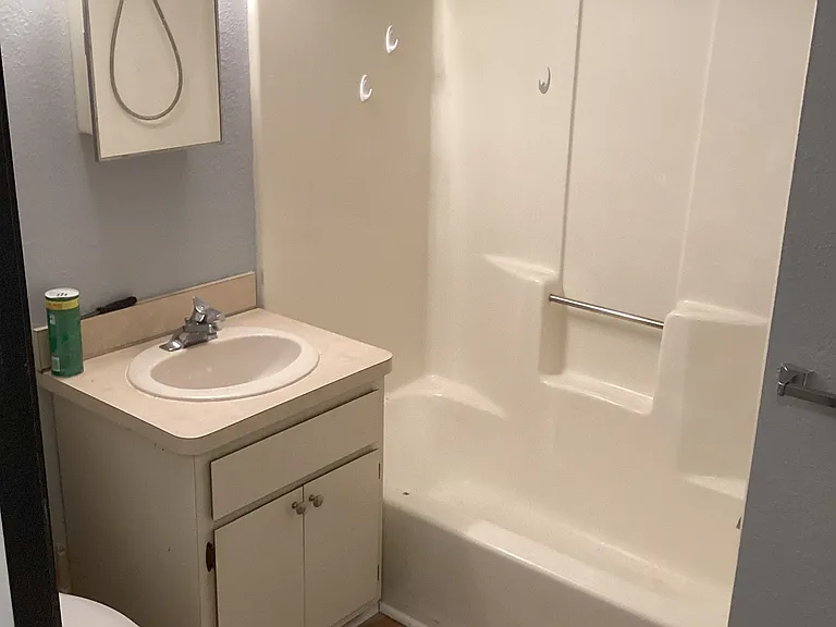 225 N Elizabeth St #1E — Photo 10