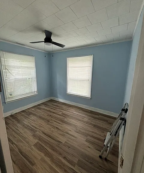 Bedroom 2. Right window looks into back yard.