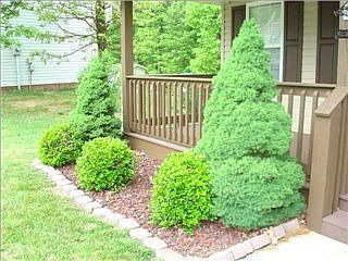 3rd image of 6425 Olin Ln