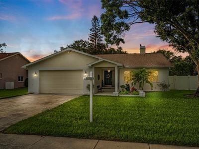 1562 Coastal Pl, Dunedin, FL, 34698